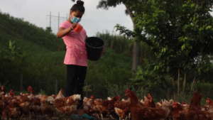 Supporting indigenous mentors to reach more girls