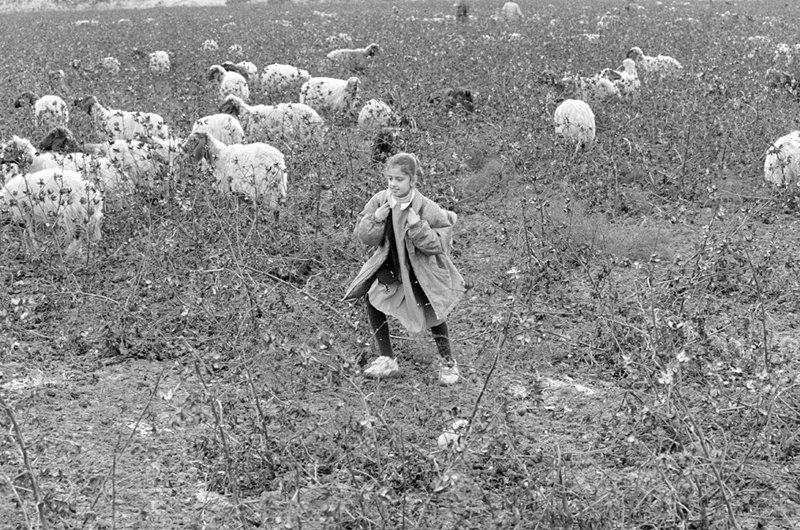 Break Poverty Cycle By Educating Girls In Turkey