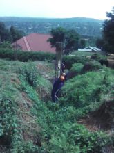 Site clean-up for construction