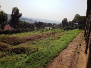 Where the Girls' Dormitory structure will go up