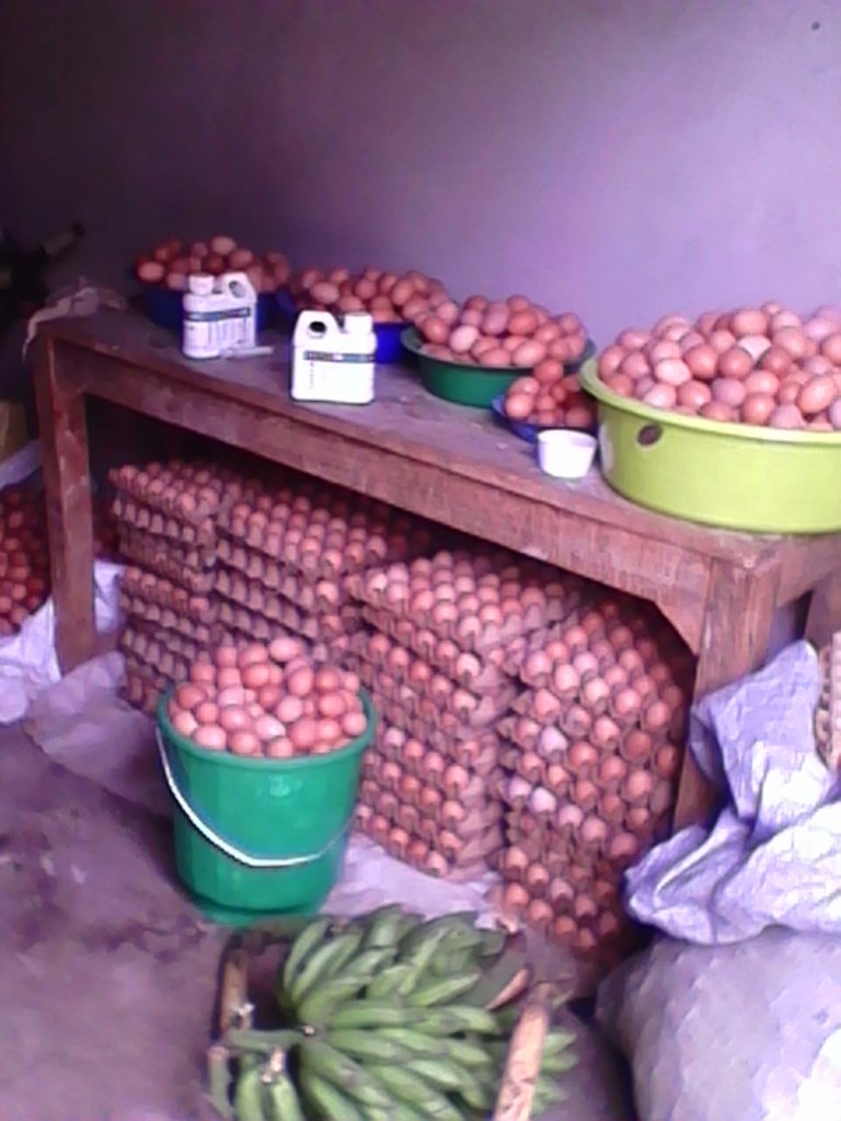 Eggs ready for sale