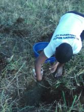 Girl student working in garden at Matale S.S.S.