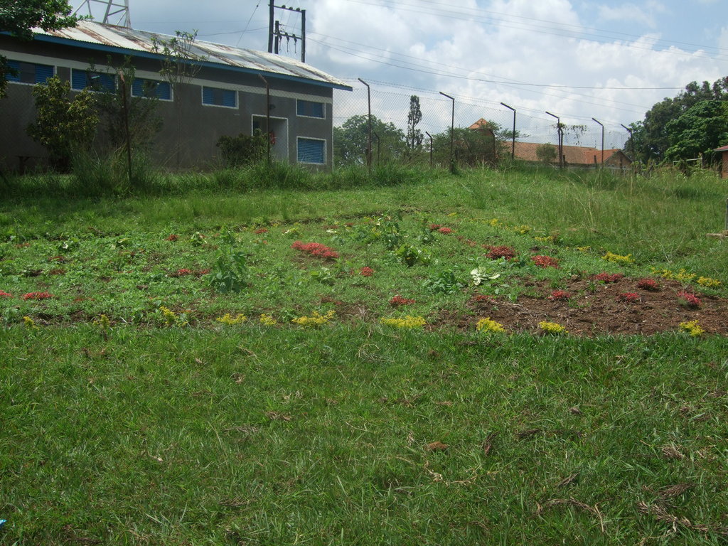 Education & Safety for Rural Girls Matale Uganda