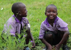 Preschool Boys Playing