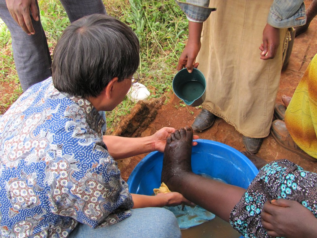 Mossy Foot Project - Village Clinics