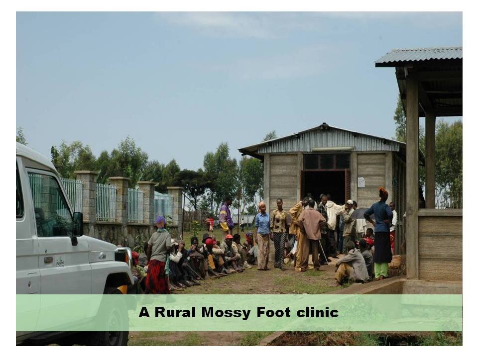 Mossy Foot Project - Village Clinics