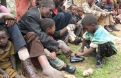 Mossy Foot Project - Village Clinics
