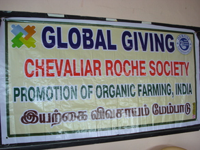 Global Giving Banner