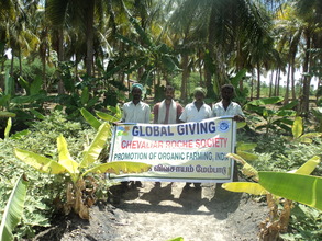 PLANTAIN ORGANIC FARMERS