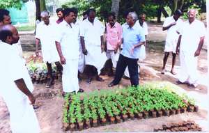 OFFICIALS EXPLAINED PLANTATION TECHNIQUES