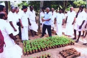 OFFICIALS EXPLAINED PLANTATION TECHNIQUES