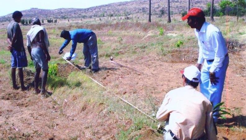 Promotion of organic farming in Thoothukudi, India