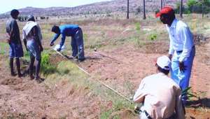 Soil sample survey