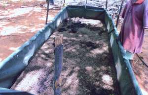 Vermi composting
