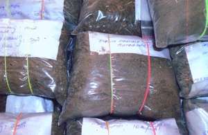 Soil samples