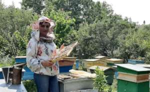 Gayane Simonyan, BeeLife