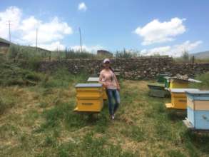 Beekeeper in Armenia