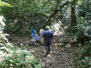 The Rio Sol in the primary forest of Marvin