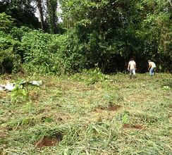 Starting out, the land is prepared/cleared