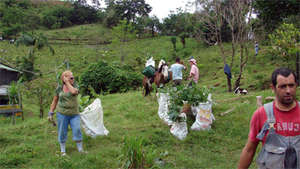 Planting day in Rio Piedras, 2009