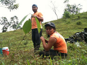 Alan Hernandez and Irma Acosta, planters
