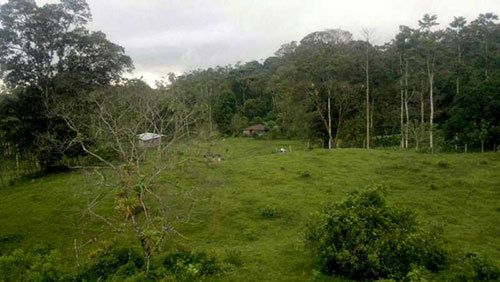 December 2011, crew planting, see house on left