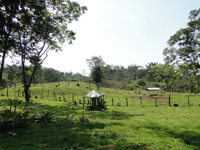 38 Hectares of Valuable Resources for the Maleku