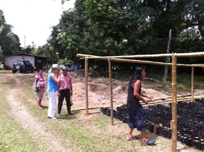 Elias second nursery, 5000 trees "For the Monkeys"