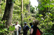 38 Hectares of Valuable Resources for the Maleku