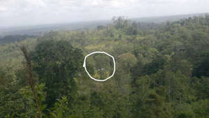 Marvin's property from above, the house is circled