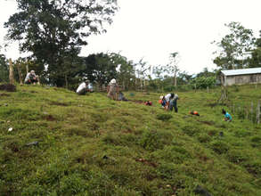 Planting Marvin's pasture land in 2011, the wave