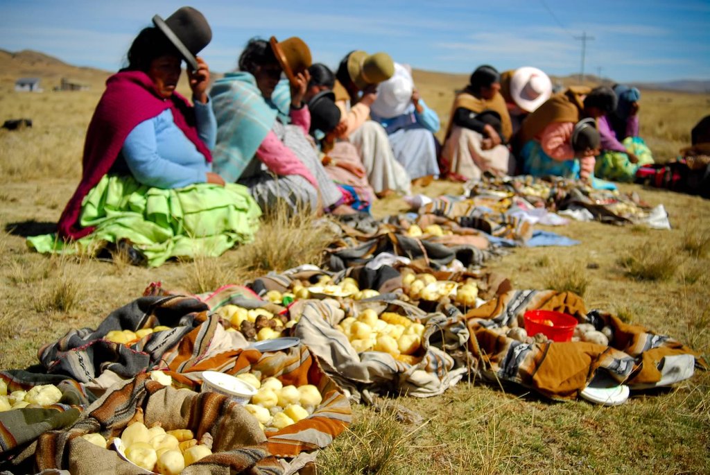 Essential Water Projects for Bolivians