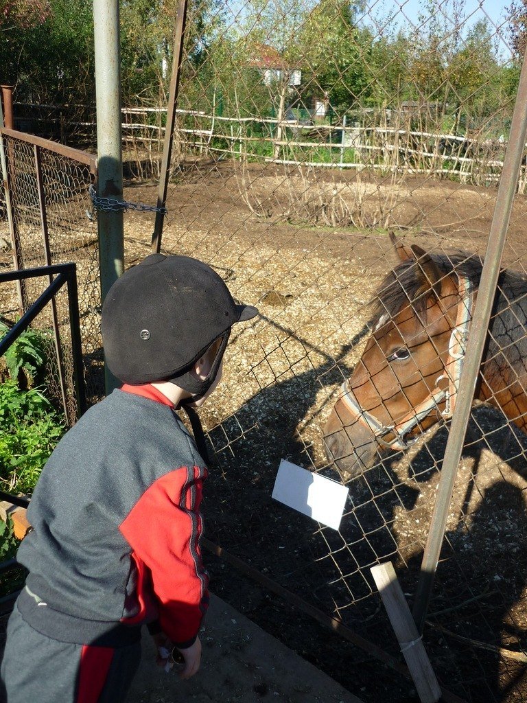 Confident Step: help orphans with Cerebral Palsy