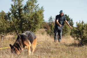Searching for landmines