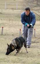 MDD Granite "sniffing out" mines