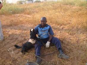 MDD Kuito resting with her handler in Angola