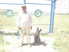 MDD Country in Afghanistan