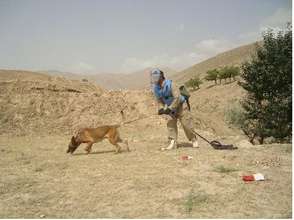 MDD Stryker "sniffs out" mines in Afghanistan