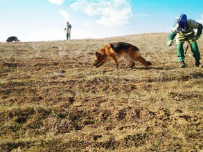 MDD Dexter and Mansur search for mines