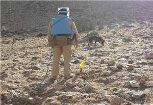 MDD Country searching for landmines
