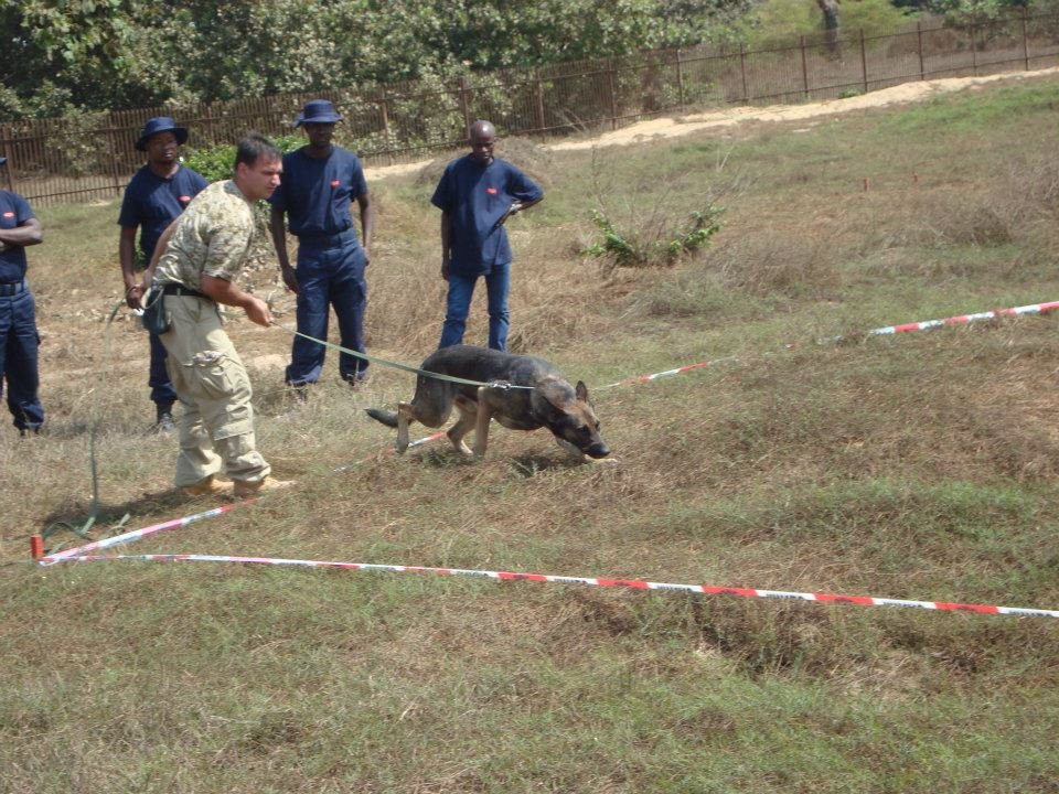 Train Dogs to "Sniff Out" Landmines & Save Lives