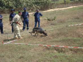 MDD Arizona "sniffing out" landmines in Angola