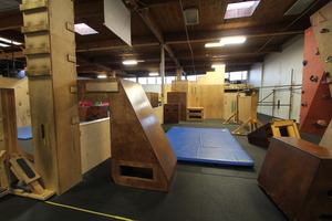 Obstacles recombinant