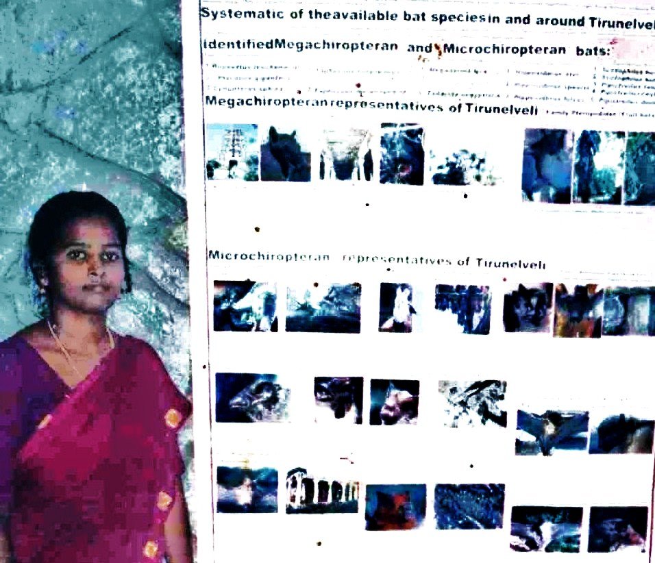 Conserve bats in International year of bats, India