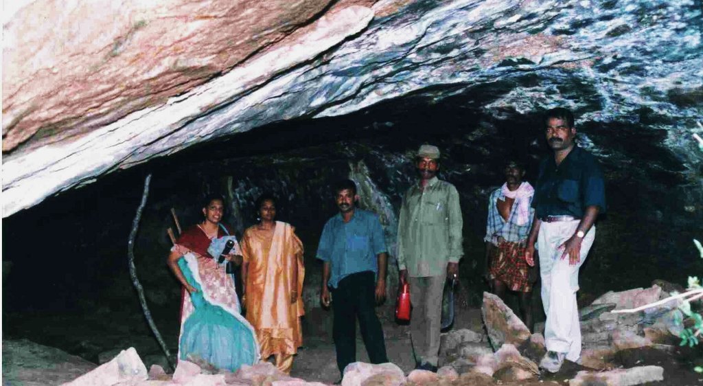 Conserve bats in International year of bats, India