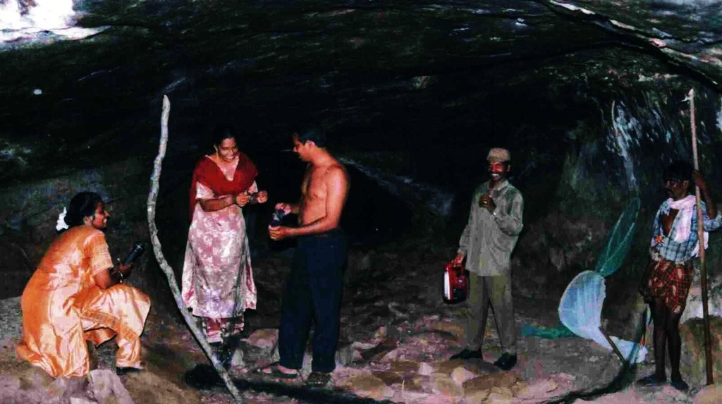 Conserve bats in International year of bats, India