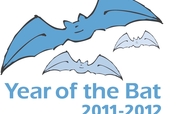 Conserve bats in International year of bats, India