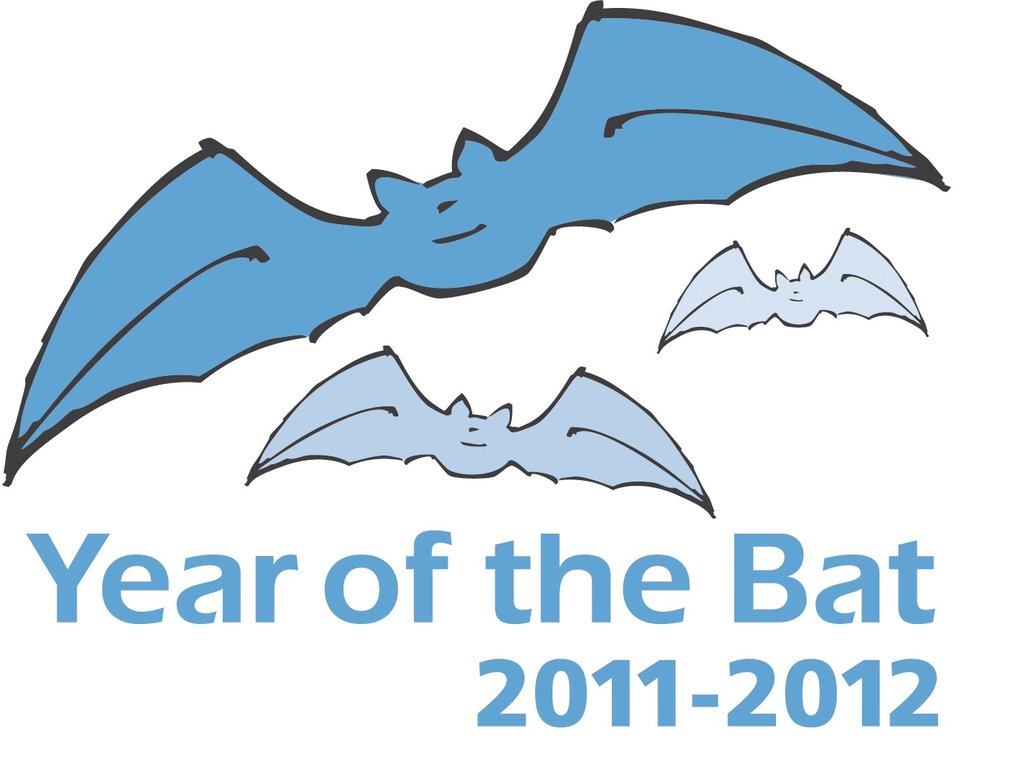 Conserve bats in International year of bats, India