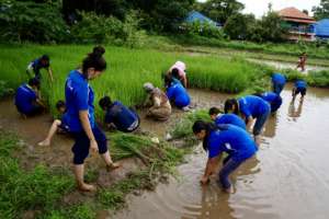 Students Learning to Plant Rice
