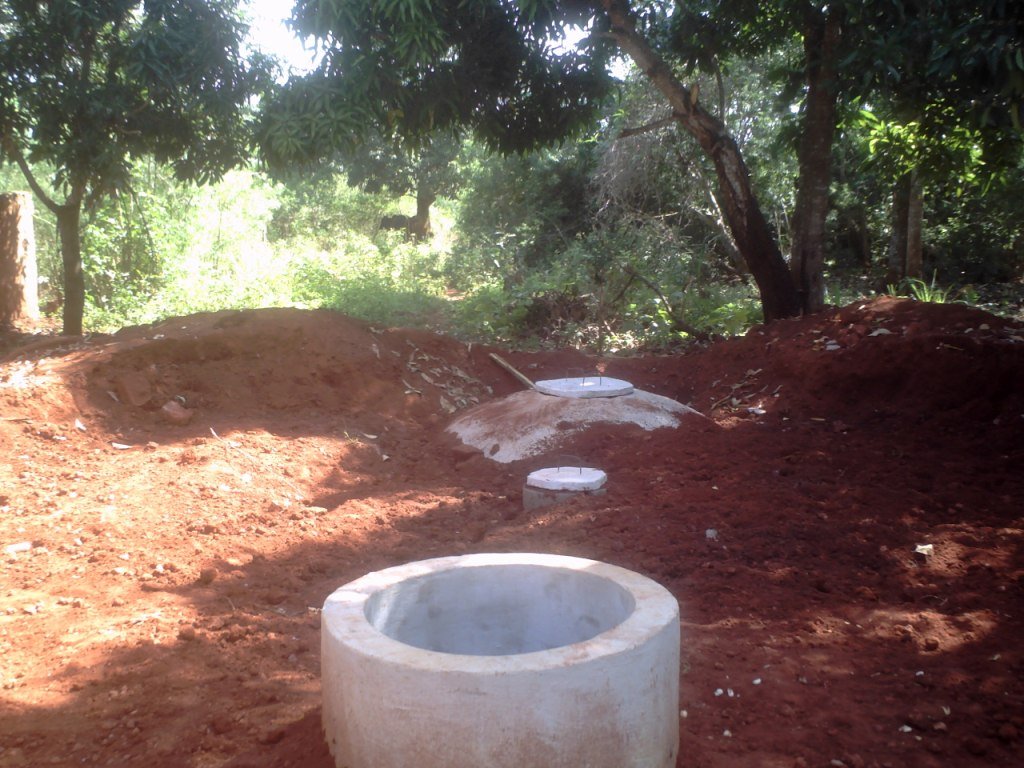 1 - 2 Million Trees a Year in Uganda's Countryside